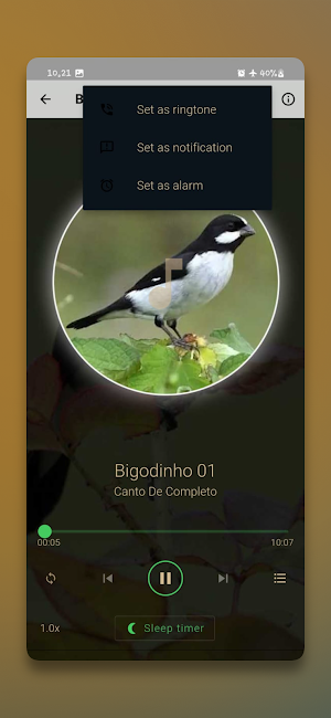 Canto De Bigodinho Completo Screenshot 2