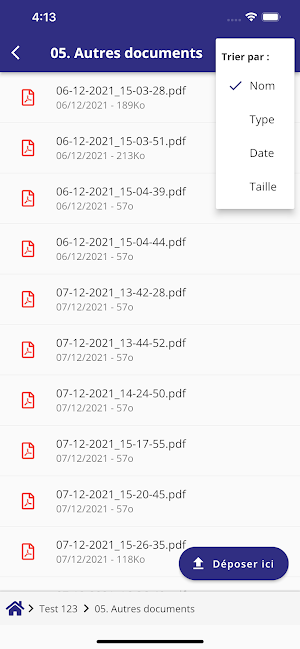 FP3 Conseil Screenshot 2