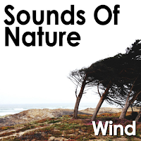 Wind Relaxing Sounds