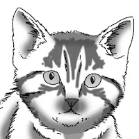 How to Draw Cats