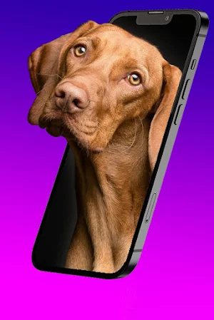 Wallpaper Live 5D Screenshot 3