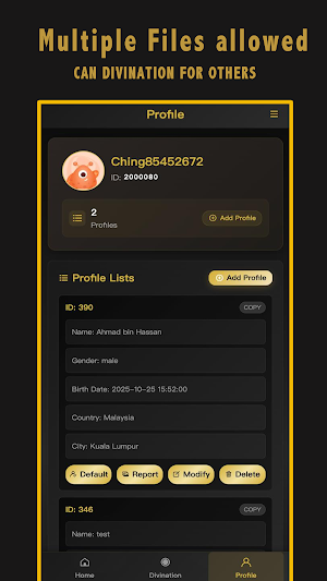 IChing Master Screenshot 2