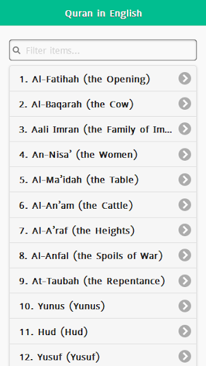 Holy Quran in English & Arabic Screenshot 0