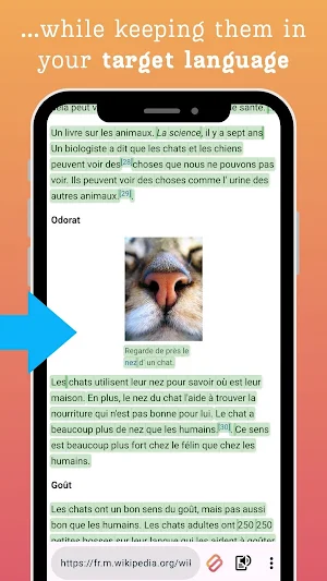 Squeno: Language Learning Screenshot 2