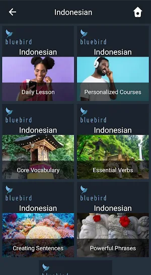 Learn Indonesian. Speak Indonesian. Screenshot 0