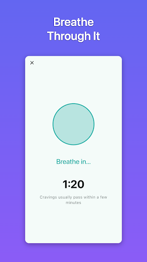 Food Noise Tracker: UnCrave Screenshot 2