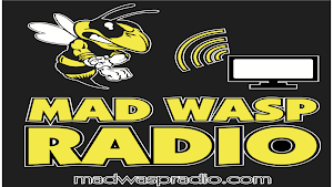 Mad Wasp Radio Screenshot 0