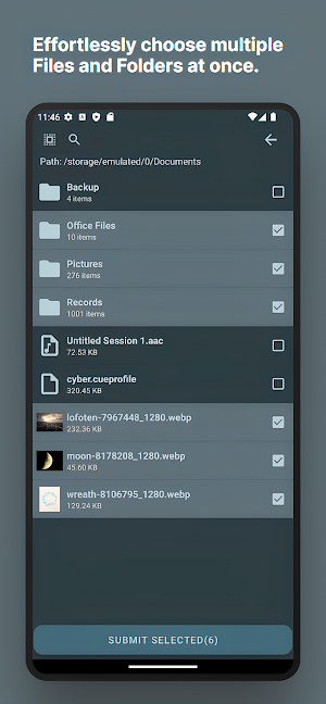 FilesCrypt Screenshot 2