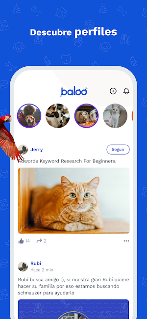 Baloo Mascotas Screenshot 1