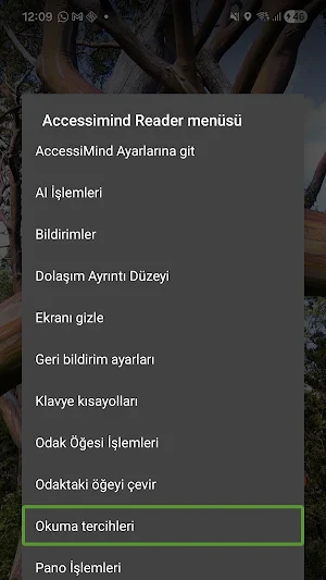 Accessimind Screen Reader Screenshot 0