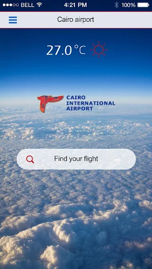 Cairo Airport Screenshot 1