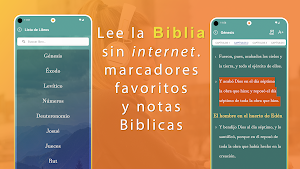 Biblia Hablada Nueva Screenshot 3