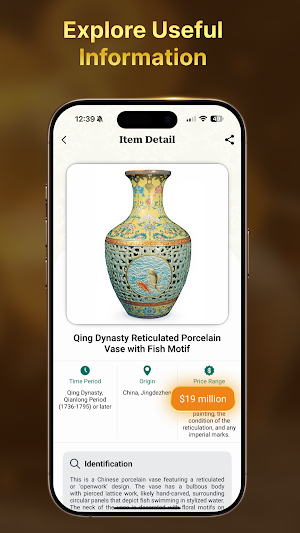 Relic AI: Antique Identifier Screenshot 2