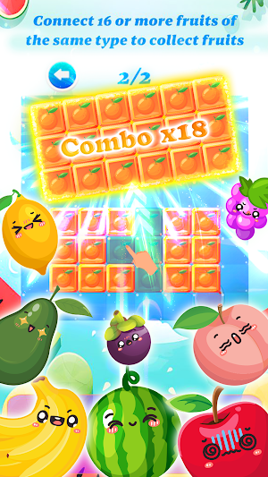 Fruit Block Puzzle Screenshot 1