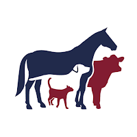Central Vet