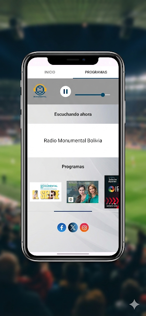 Radio Monumental 105.1 Screenshot 1