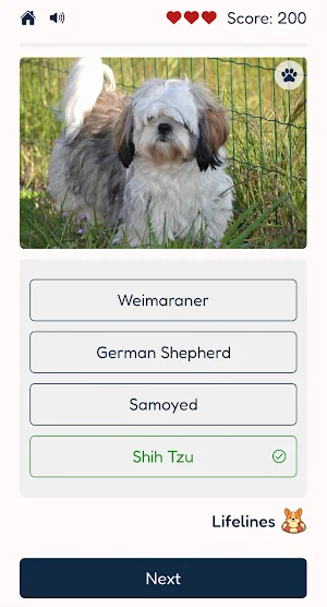 Dog Breeds Quiz Screenshot 1