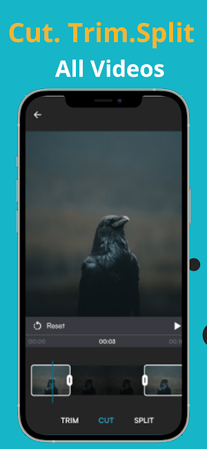 Video Editor Screenshot 2