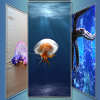 Aquatic Wonders