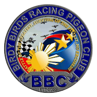BBC CLOCKING
