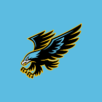 CJI Hawks