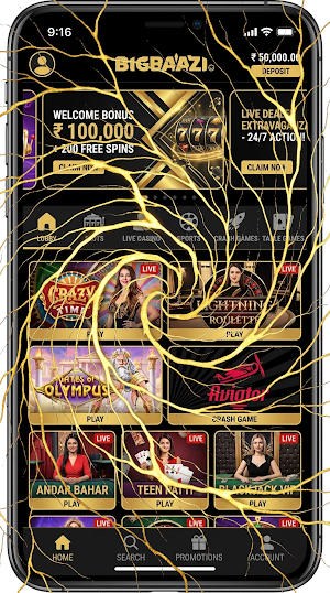 Big Baazi Casino Screenshot 3
