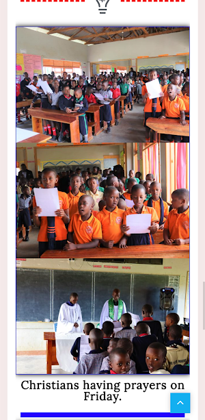 Goodwill Junior School Screenshot 3