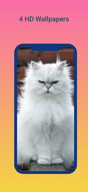 Cute Animals wallpapers Screenshot 3