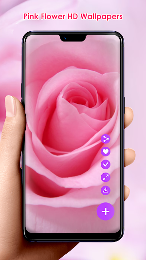 Pink Flower HD Wallpapers Screenshot 0