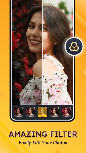 Photo Gallery Vault Screenshot 1