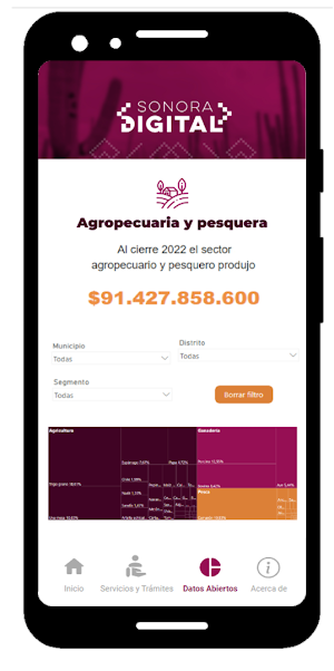 Sonora Digital Screenshot 2