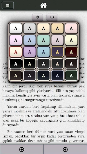 Sırça Köşk Sabahattin Ali Screenshot 2