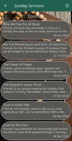 Bishop Robert Barron Teachings Screenshot 1