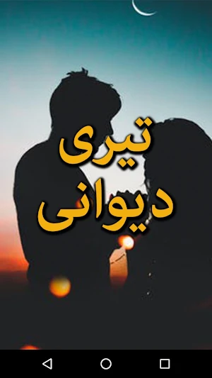 Teri Deewani by Anum Nouman - Urdu Novel Offline Screenshot 0