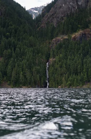 Nature Wallpaper Screenshot 1