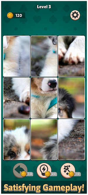 Jigswap – Jigsaw Puzzle Games Screenshot 3