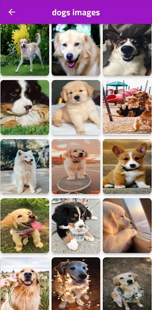 animals picture Screenshot 3