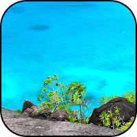 Cyan wallpapers