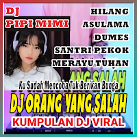 DJ orang yang salah PIPI MIMI