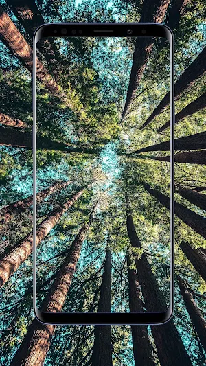 Nature Wallpaper Screenshot 1