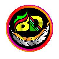 BD NET VPN - DNSEros Plugin