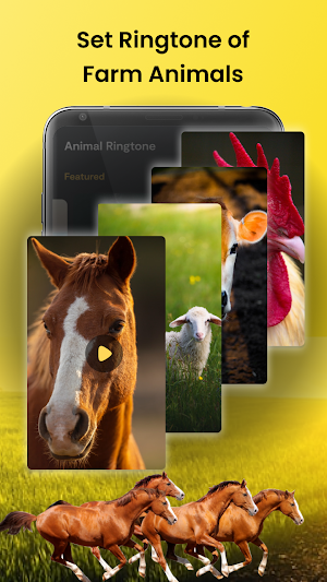Animal Sounds - Bird Ringtones Screenshot 2