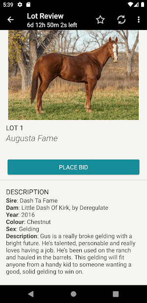 190 Proof Equine Screenshot 2