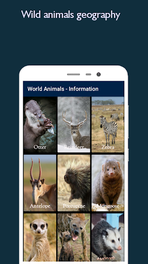 Animals  Information Screenshot 3