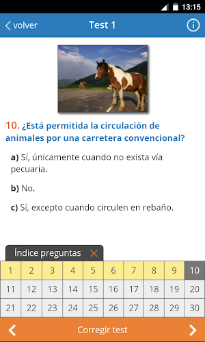 TodoTest: Test de conducir Screenshot 0