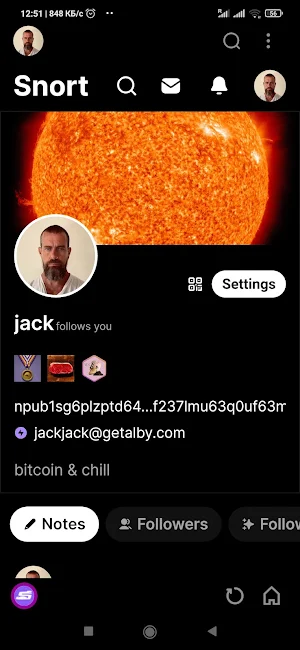 Spring - The Nostr Browser Screenshot 2