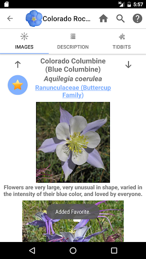 Colorado Rocky Mountain Wildflowers Screenshot 3