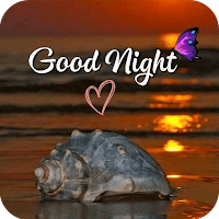 Good Night Photos