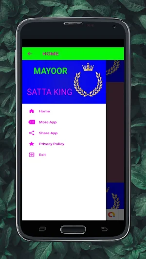 Mayoor Satta King GaliDisawar Screenshot 0