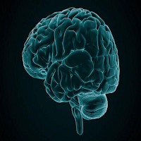 NeuroQuiz do GTED UFFS